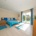Casa Oliveiras - Olive Tree