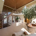 Casa Oliveiras - Olive Tree