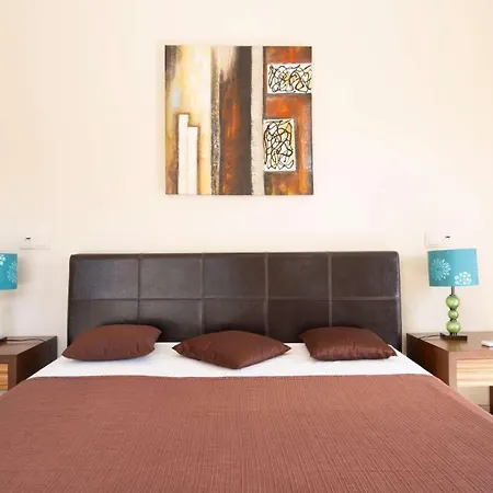 Casa Oliveiras - Olive Tree *