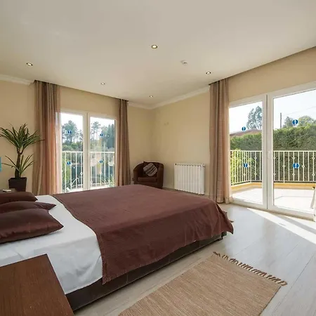 Casa Oliveiras - Olive Tree