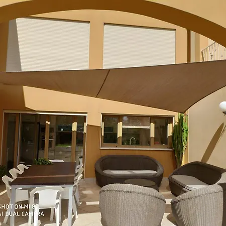 Casa Oliveiras - Olive Tree *