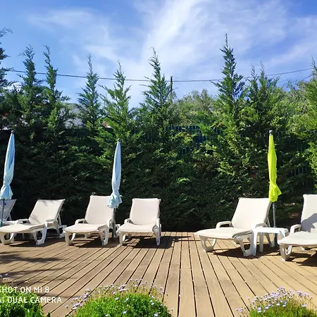 Casa Oliveiras - Olive Tree فيلة