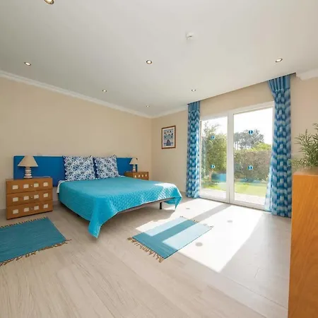 Casa Oliveiras - Olive Tree