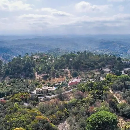 Casa Oliveiras - Olive Tree Villa