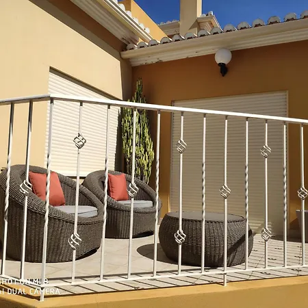 Casa Oliveiras - Olive Tree