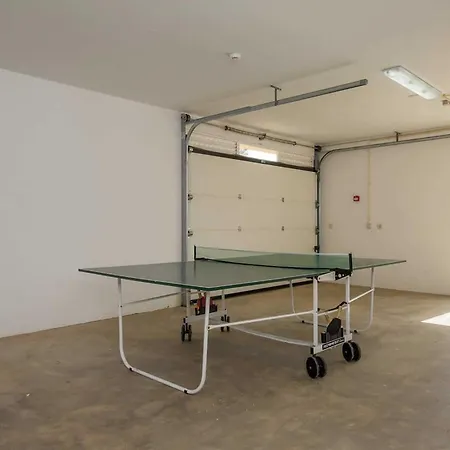 Casa Oliveiras - Olive Tree