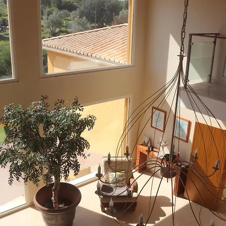 Casa Oliveiras - Olive Tree Monchique