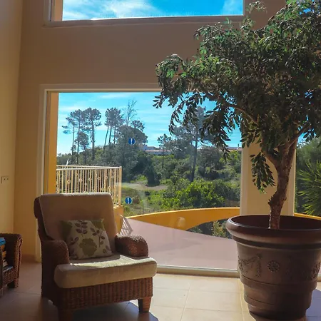 Casa Oliveiras - Olive Tree