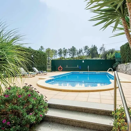 Casa Oliveiras - Olive Tree *