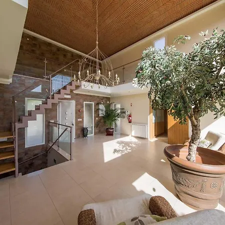 Casa Oliveiras - Olive Tree